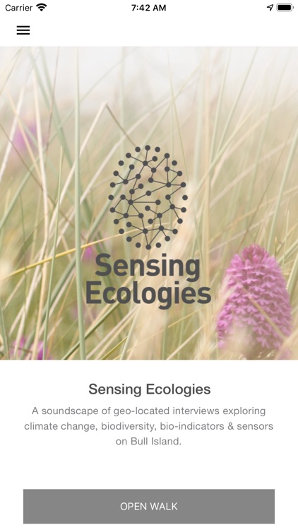 Sensing Ecologies