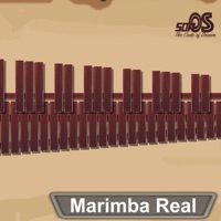 Marimba, Xylophone, Vibraphone apk