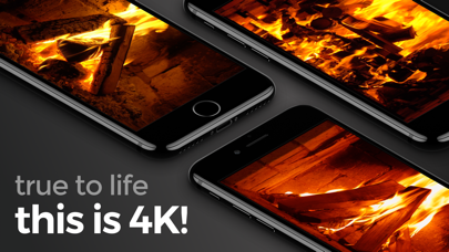 How to cancel & delete 4K Fireplace from iphone & ipad 1