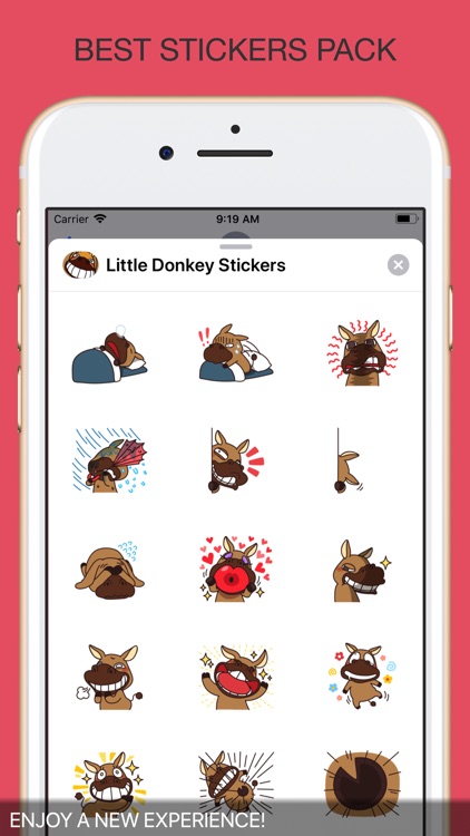 Little Donkey Stickers