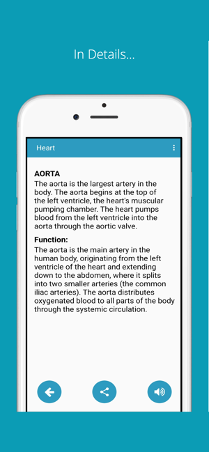 Learn Human Anatomy(圖6)-速報App