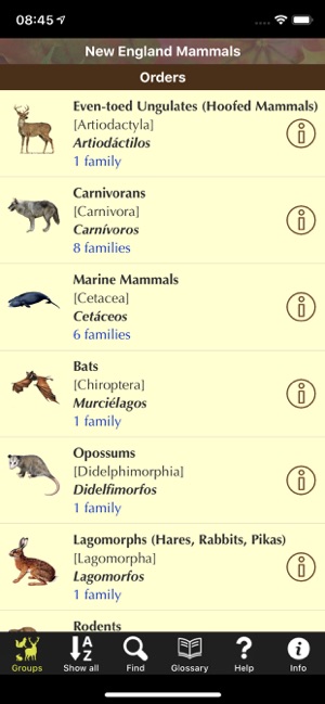 New England Mammals(圖3)-速報App