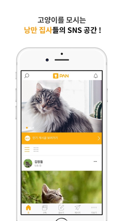 고양이 판 - 낭만 집사 SNS