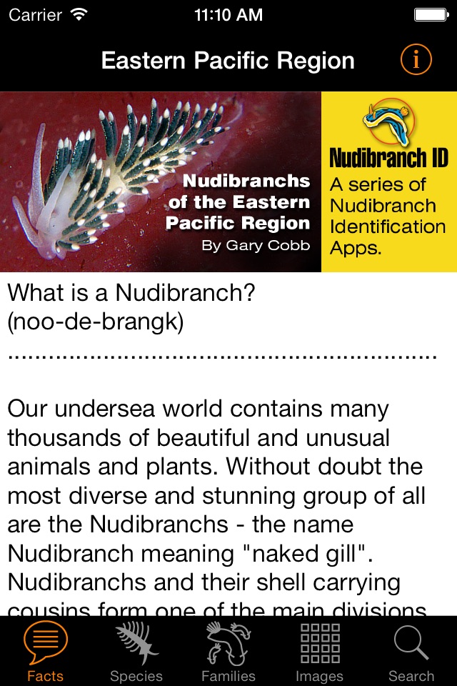 Nudibranch ID Eastern Pacific screenshot 2