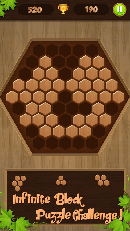 Wooden Block Jigsaw screenshot-3