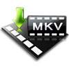 VX MKV Video Converter