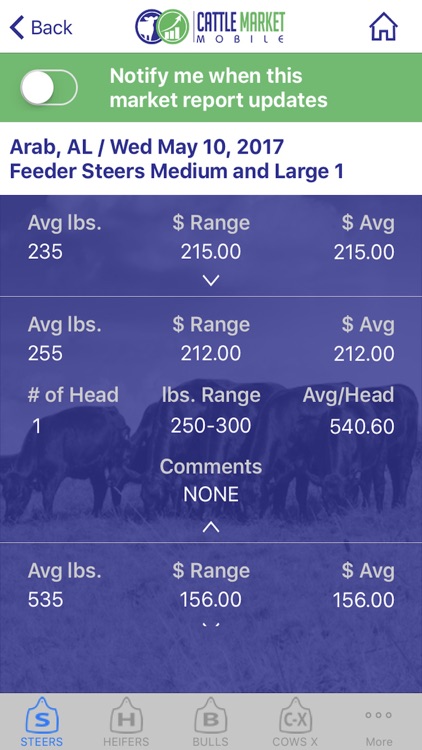 Cattle Market Mobile