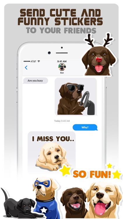 Labrador Retriever Dog Emojis screenshot-3