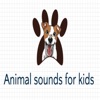 Animal Sounds and their Names animals and their sounds 