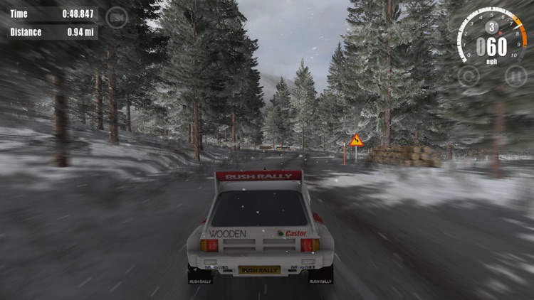 Rush Rally 3 screenshot-6