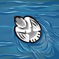 Fowl Flow pour PC