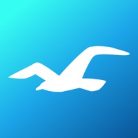 Hollister Co. app not working? crashes or has problems?