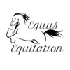 Equus Happy Traveler Checklist