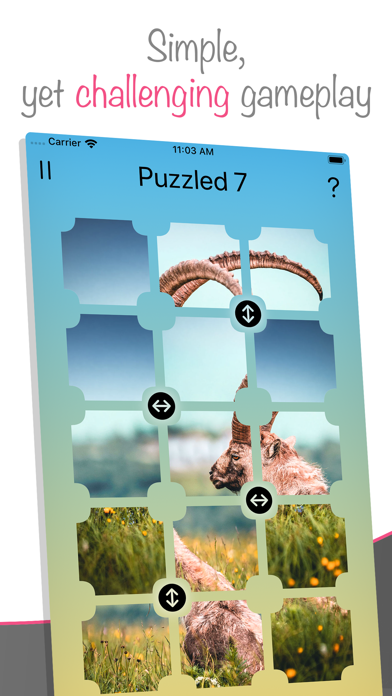 Flipinity: Puzzle Game Screenshot 1