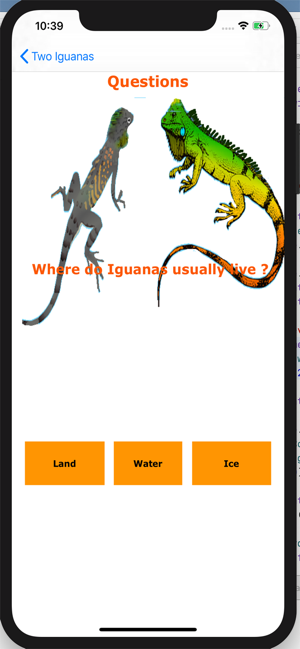 Two Iguanas(圖5)-速報App