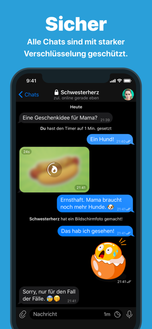 ?Telegram Messenger Screenshot
