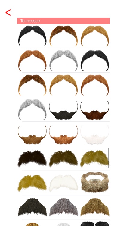 Mustache & Beard Me Editor Pro