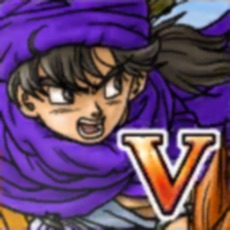 Activities of DRAGON QUEST V