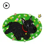 Animated Scottie & Lonely Dog App Contact