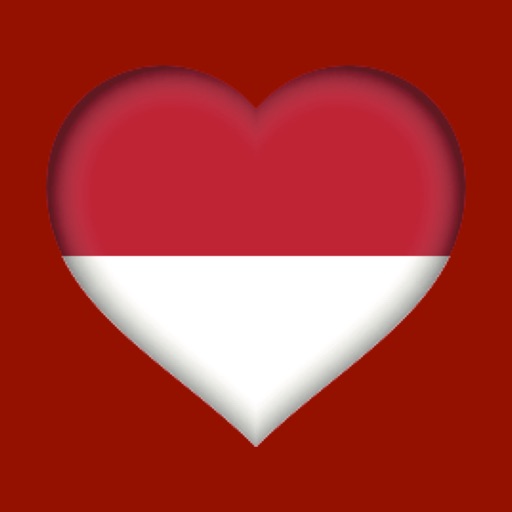 20 Indonesian Dictionaries