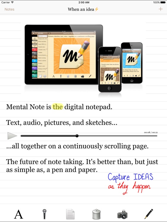 Mental Note for iPad ๛ screenshot-0