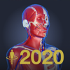 3D人体解剖学 teamLabBody2020-TEAMLABBODY.inc