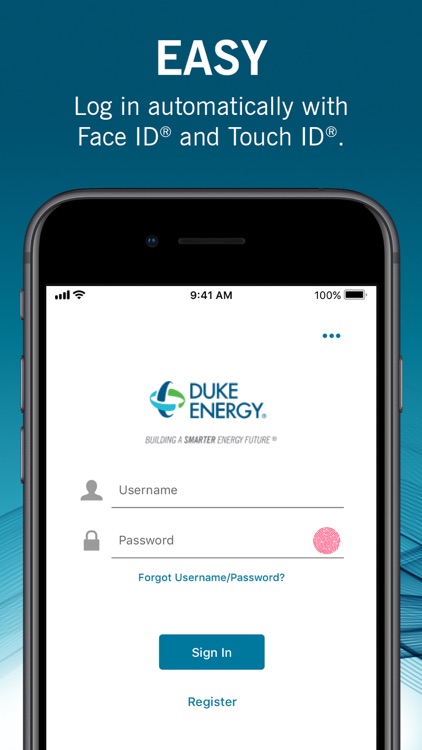 Duke Energy