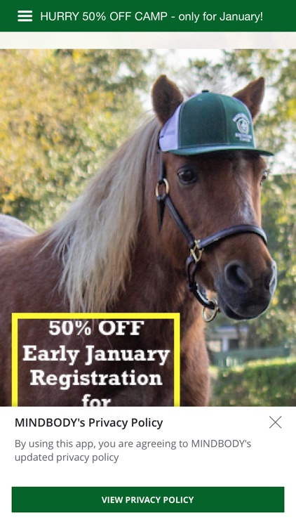 Saddlebrook Equestrian Center