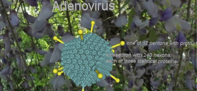 Bio Virus Structure in 3D(圖9)-速報App