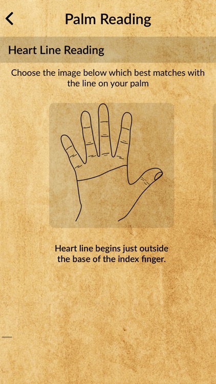 Palm Reader - True Palmistry