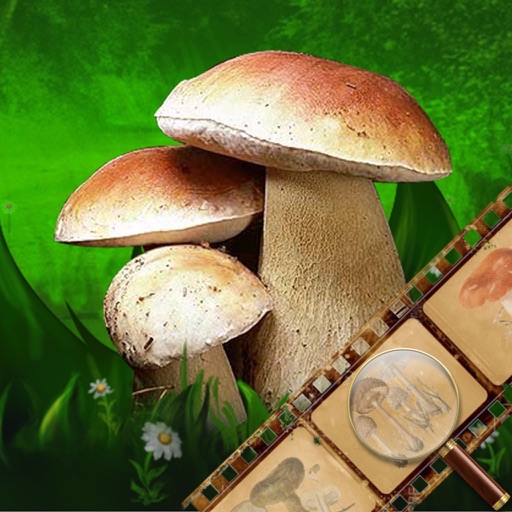 Mushroom Book & Identification iOS App