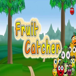 Fruits Catches