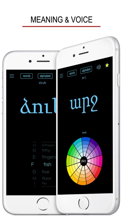 Armenian Words & Writing screenshot 3