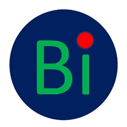 BiData Property Management