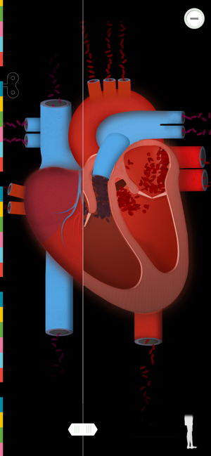 遊びながら人体の仕組みがわかるアプリ The Human Body あそんでまなぼう あそびまなびソース