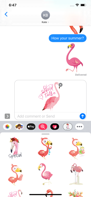 Flamingo Tropical Stickers(圖3)-速報App