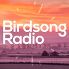 Top 14 Music Apps Like RSPB Birdsong Radio - Best Alternatives