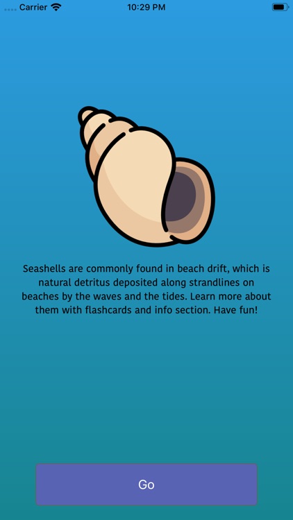 Identify sea shells