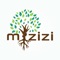 Mizizi is a business tool that can be used by beauty and barber professionals