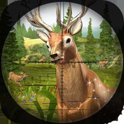 Hunting Season : Time Diaries