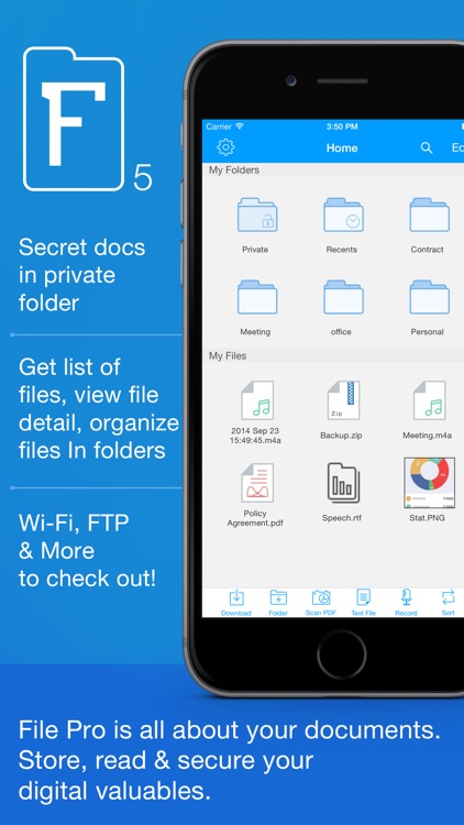 File Pro Mini