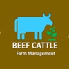 Beef Cattle Farm Management