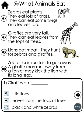 Guided Reading Level E - náhled