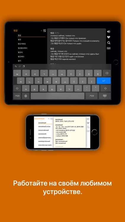 KoRusDic Pro 한러/러한 7-in-1 사전 screenshot-6