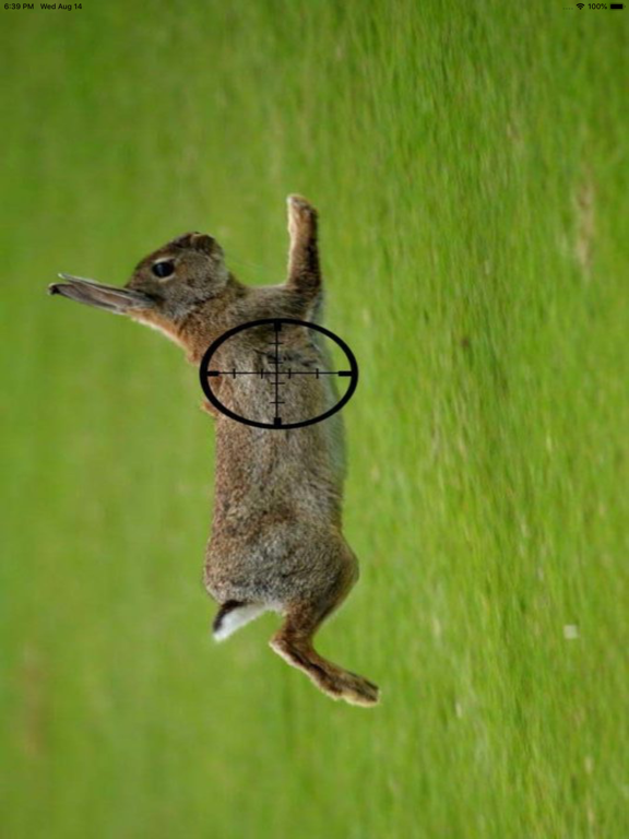 Screenshot #4 pour Rabbit Hunting calls