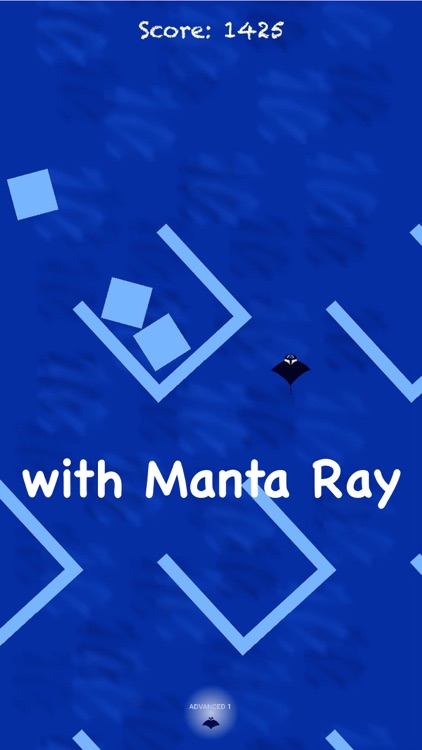 Deep Blue - Manta