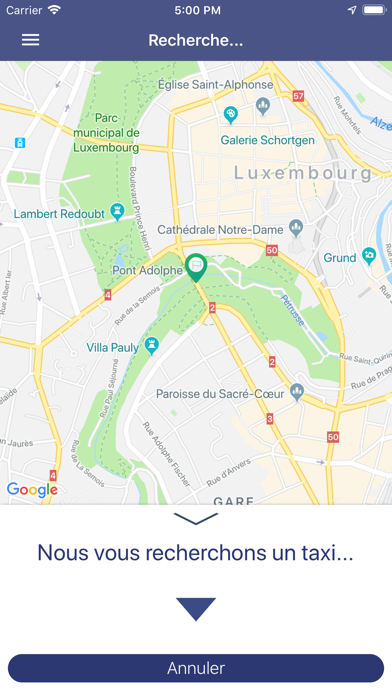 Alo Taxi Luxembourg screenshot 3