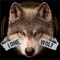Icon Lone Wolf Wallpapers