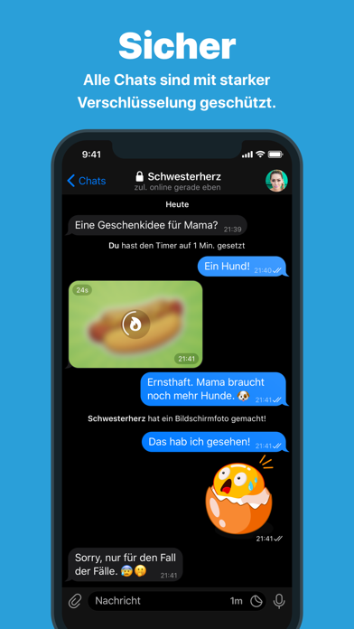 Telegram Messenger - اسکرین شات 2