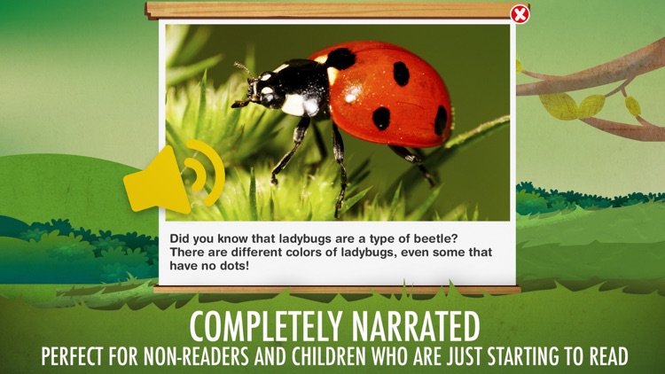 The Bugs I: Insects? screenshot-5